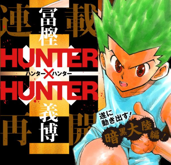 hunter-x-hunter