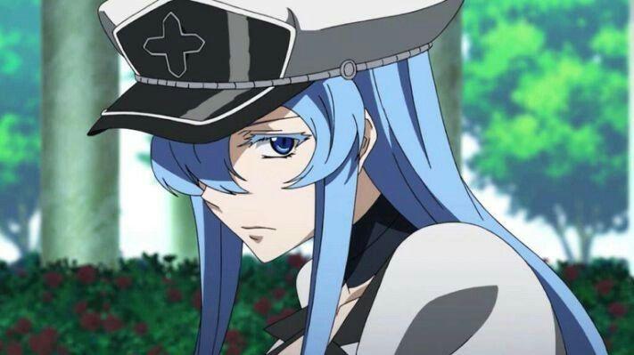 akame ga kill