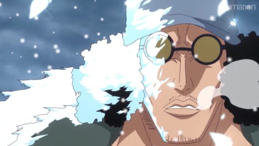 The 32 Best One Piece Anime Characters Of All Time