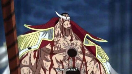 one-piece-quotes