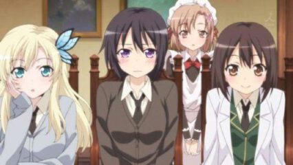 Harem Anime Series List 