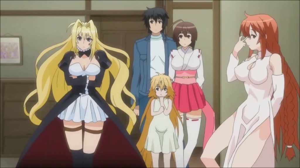 My Top 20 Ecchi/Harem anime