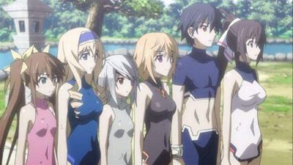 The 18 Best Dubbed Harem Anime Series, Ranked