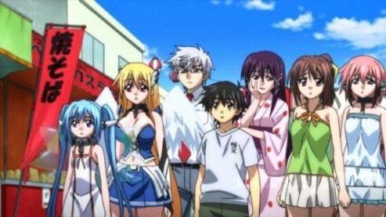 harem anime with op mc