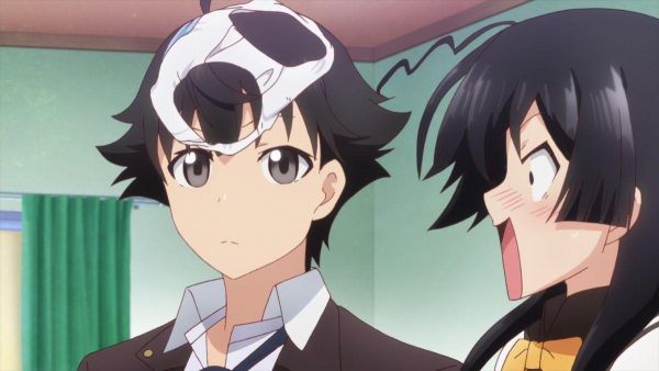 shomin sample