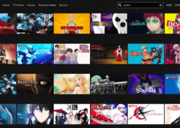 Anime Streaming Services