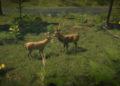 animal crossing video games