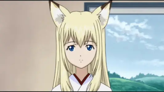 fox anime girls