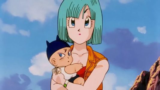 bulma brief