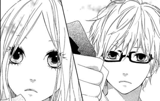 hibi-chouchou