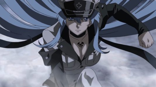 akame ga kill esdeath