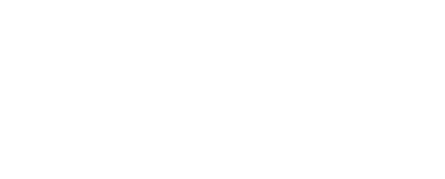VIZ Media logo