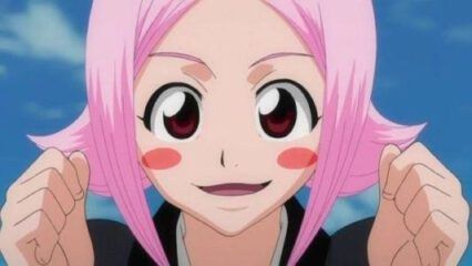 Bleach episode 196 during the Arrancar vs Soul Reaper arc